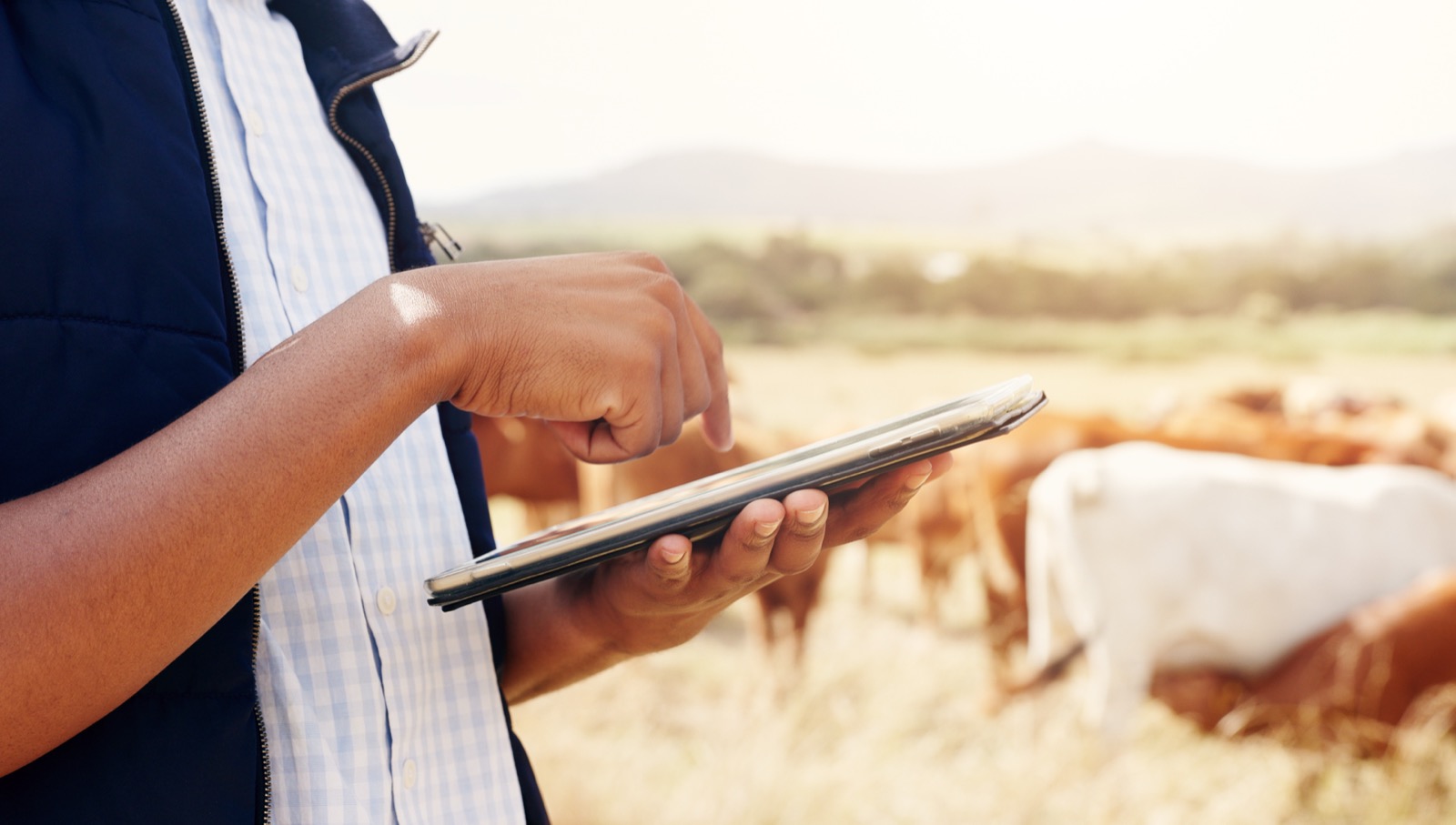 What we learned improving field data quality
